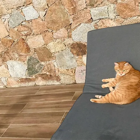 Tatil Evi A Funtana Montestremo, Balagne, Haute Corse *