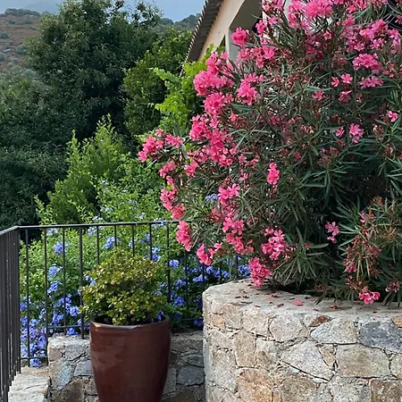 A Funtana Montestremo, Balagne, Haute Corse *