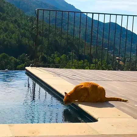 Semesterbostad A Funtana Montestremo, Balagne, Haute Corse *