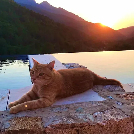 Semesterbostad A Funtana Montestremo, Balagne, Haute Corse *