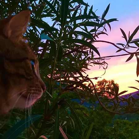 A Funtana Montestremo, Balagne, Haute Corse