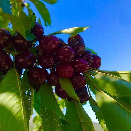 A Funtana Montestremo, Balagne, Haute Corse * Manso