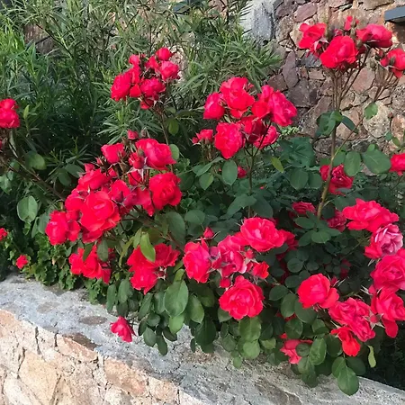A Funtana Montestremo, Balagne, Haute Corse *