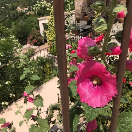 Holiday home A Funtana Montestremo, Balagne, Haute Corse *