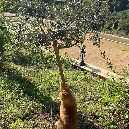 A Funtana Montestremo, Balagne, Haute Corse Semesterbostad Manso