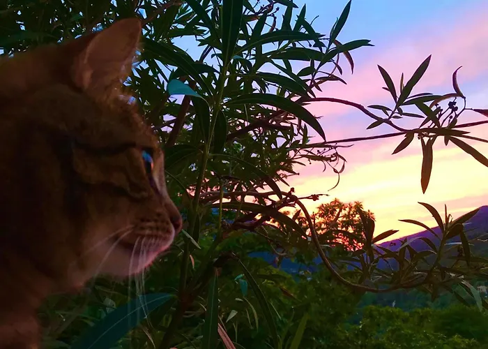 A Funtana Montestremo, Balagne, Haute Corse