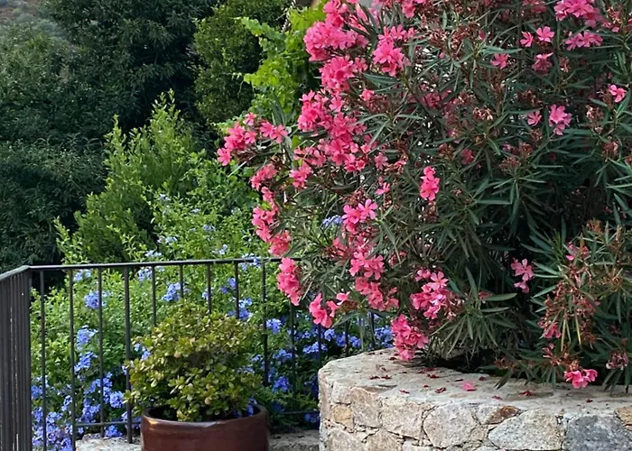 A Funtana Montestremo, Balagne, Haute Corse *