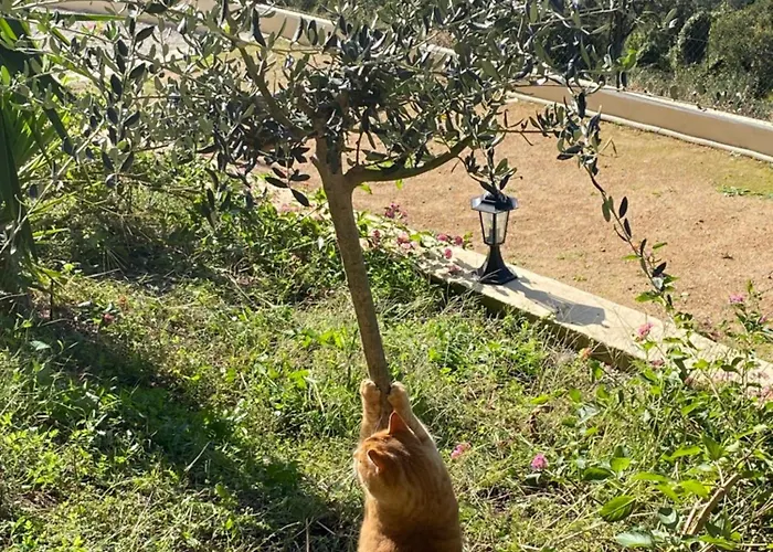 A Funtana Montestremo, Balagne, Haute Corse Tatil Evi Manso